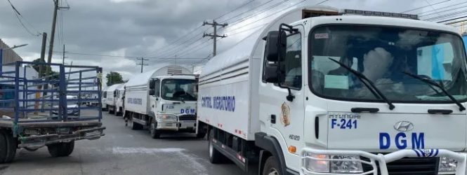 DGM intensifica operativos contra los extranjeros indocumentados