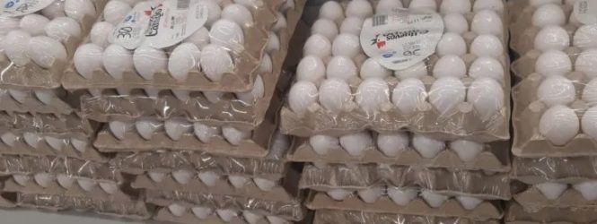 El Gobierno de la RD suspende la exportación huevos hacia Haití