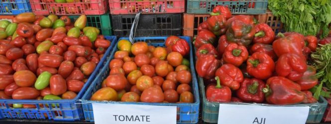 Inflación interanual baja a 4.43 % y retorna a su rango meta, informa el Banco Central