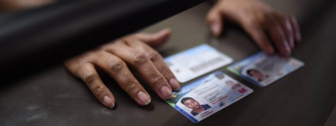 NY: Senado aprueba homologar licencias conducir dominicanas