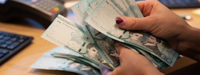 Mipymes requieren estrategias especiales para acceder a recursos liberados por el Banco Central