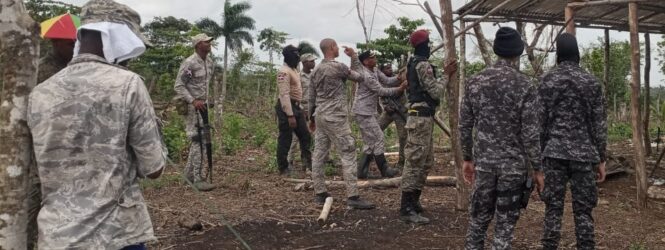 Detienen a 348 en Dominicana por violación de leyes ambientales