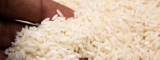 Estudio revela presencia arsénico en arroz de EU se vende en la RD