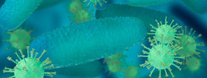 ¿Qué es el ántrax, la bacteria que tiene bajo alerta a República Dominicana?