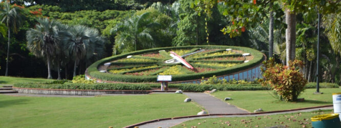 Denuncian supuesto plan para reducir área del Jardín Botánico