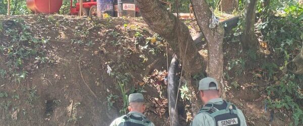 SENPA investiga la muerte de peces en ríos Matúa e Higüero