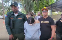 Mujer hiere agente Digesett con bisturí y este respondió con un cachazo