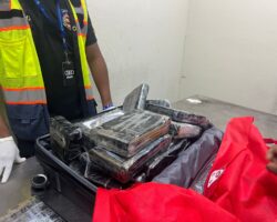 DNCD decomisa 75 paquetes de presunta cocaína y arresta dos serbios en aeropuerto de Punta Cana