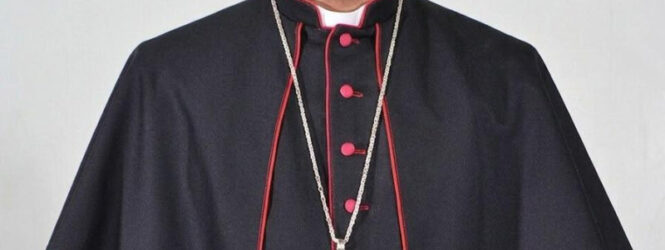 Papa León nombra a monseñor Andrés Napoleón Romero Cárdenas como obispo de La Vega