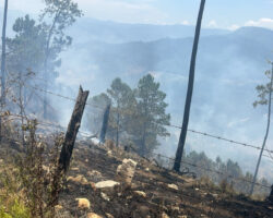 Autoridades de Medio Ambiente en Ocoa identifican a los causantes de incendios forestales