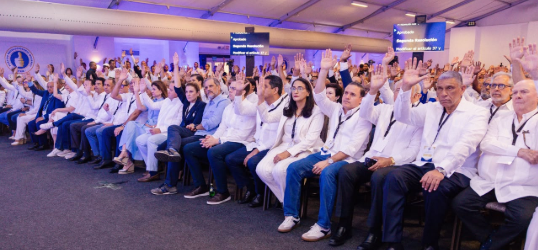 Eligen a Abinader, Ascención y nieto Hipólito para dirigir PRM