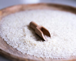 Gobierno dominicano: proteger el arroz ante EE.UU. es una “cuestión de seguridad nacional”